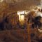 Reine du monde souterrain : La grotte de Postojna