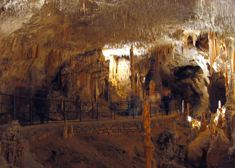 Reine du monde souterrain : La grotte de Postojna